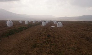 Hamioğlu Tarım ve Tohumculuk (10).jpg