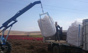 Hamioğlu Tarım ve Tohumculuk (1).jpg