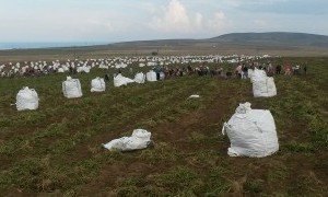Hamioğlu Tarım ve Tohumculuk (2).jpg